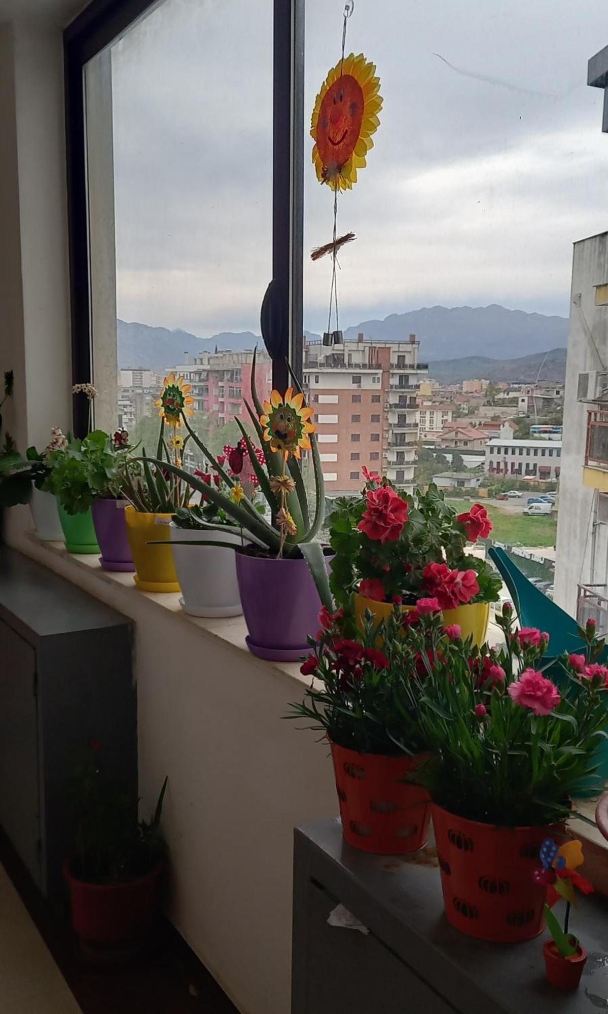 Panoramic Apartment Shkoder Exterior photo